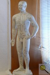 Akupunkturmodell | Vergrößerung in neuem Fenster